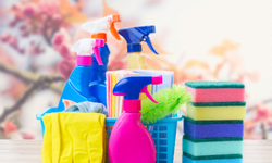Domestic Workers 